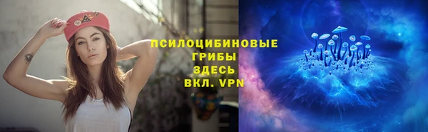 МДПВ Алзамай